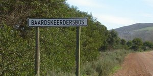 Exploring Gansbaai By Car